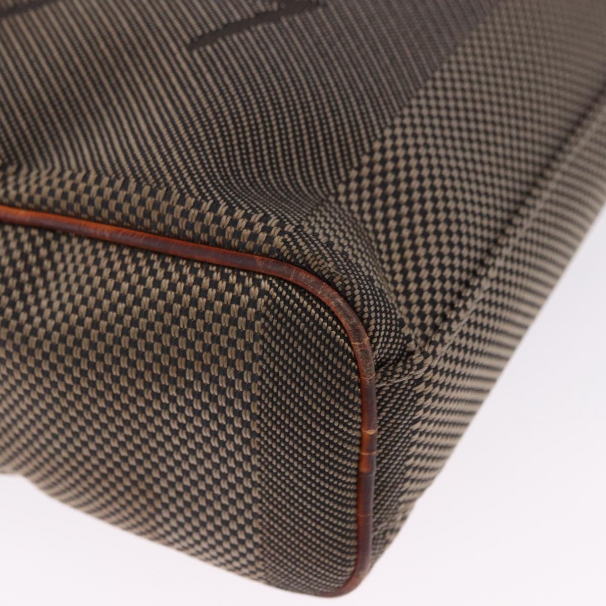LOUIS VUITTON Damier Geant Sitadan NM Bag Brown Tail M93224 LV Auth BA15134