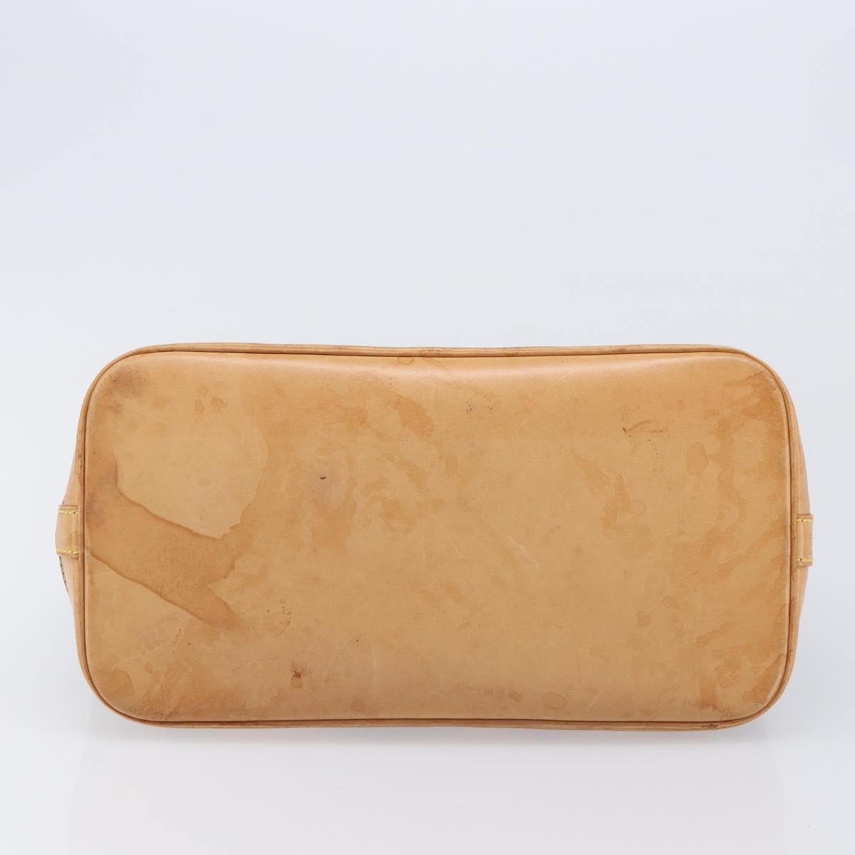 LOUIS VUITTON Monogram Alma PM Hand Bag M53151 LV Auth BA15699