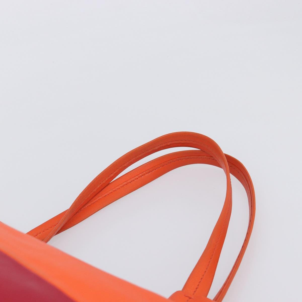 CELINE Horizontal Cabas Tote Bag Leather Orange Gold Tone Auth BA16620A