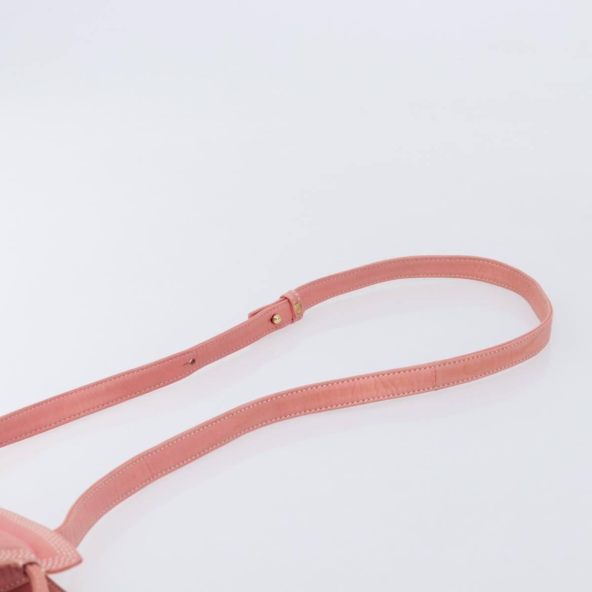 LOEWE Shoulder Bag Leather Pink Gold Auth BA16679