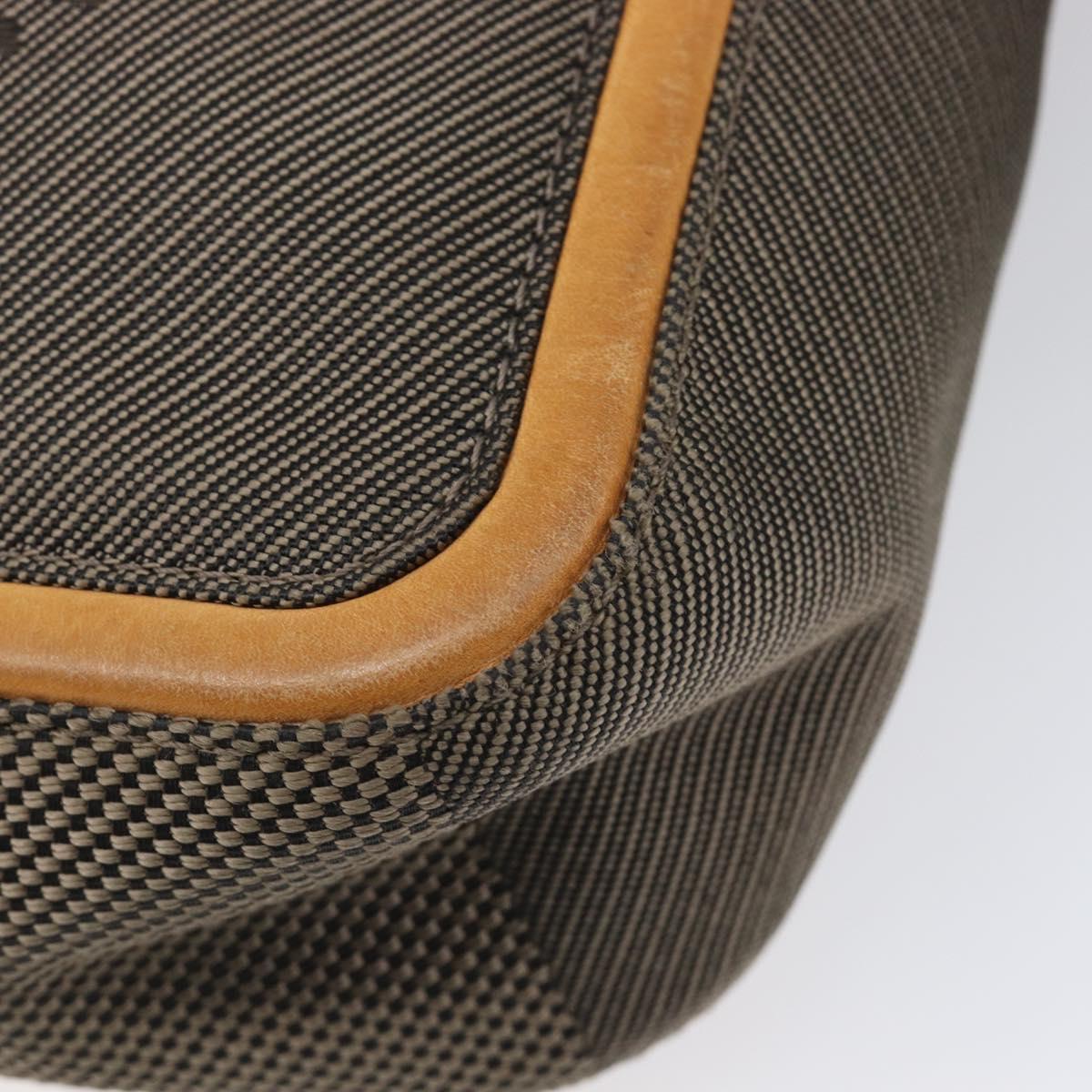 LOUIS VUITTON Damier Geant Sitadan Shoulder Bag Tail M93041 LV Auth BA17036
