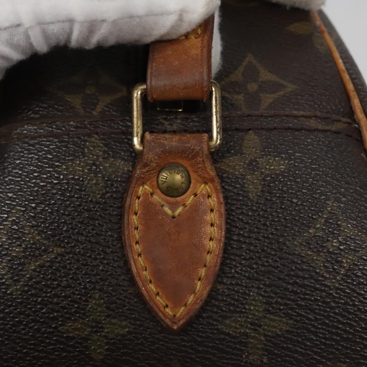 LOUIS VUITTON Monogram Blois Shoulder Bag M51221 LV Auth BA284