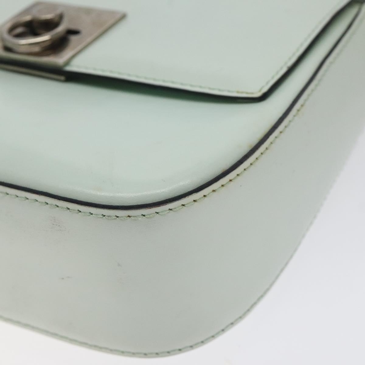 CELINE Shoulder Bag Leather Peppermint Silver Auth BA3419