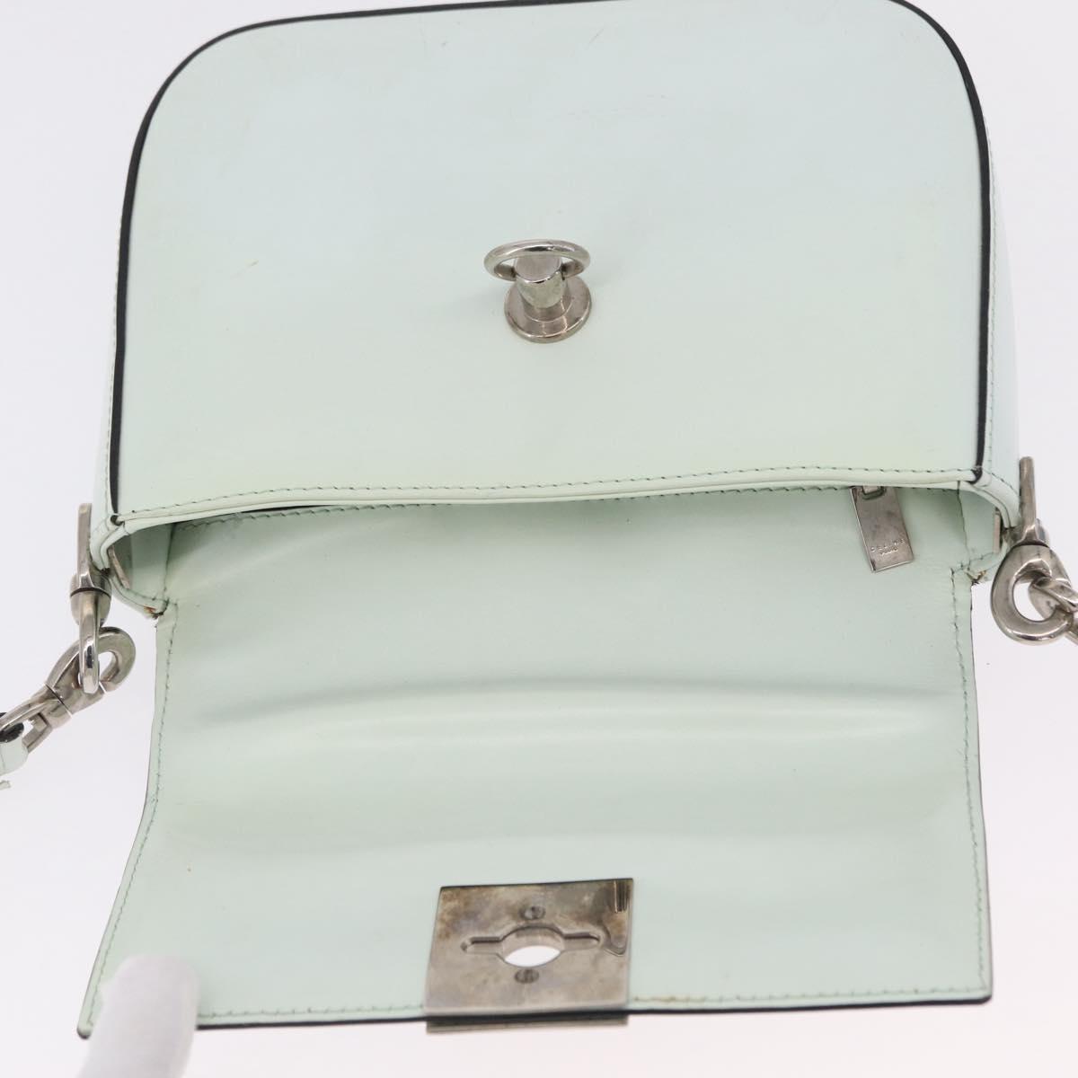 CELINE Shoulder Bag Leather Peppermint Silver Auth BA3419