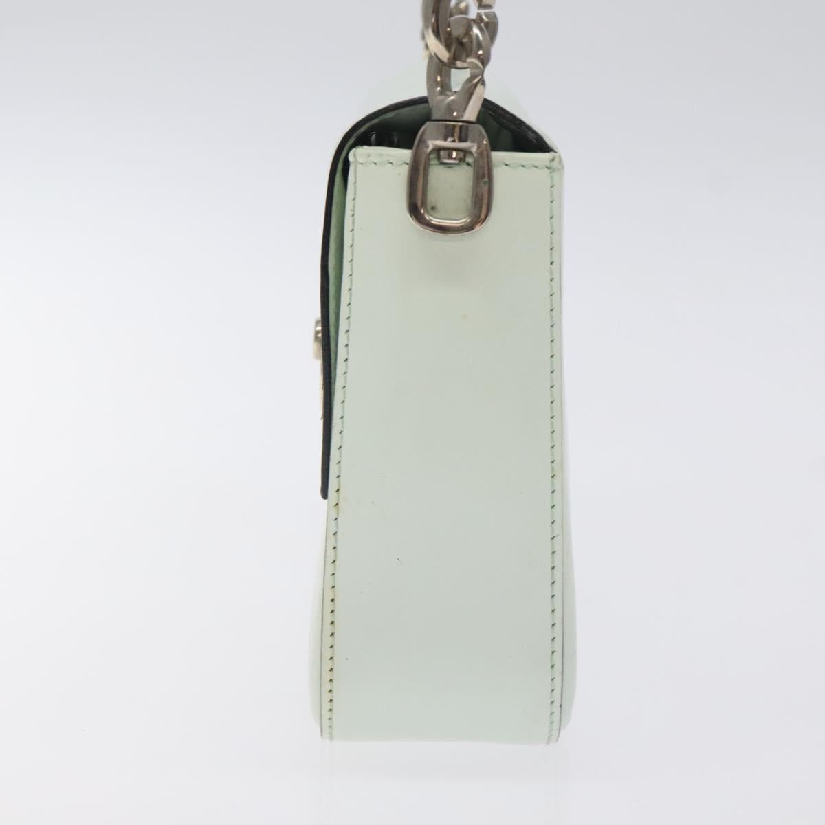 CELINE Shoulder Bag Leather Peppermint Silver Auth BA3419