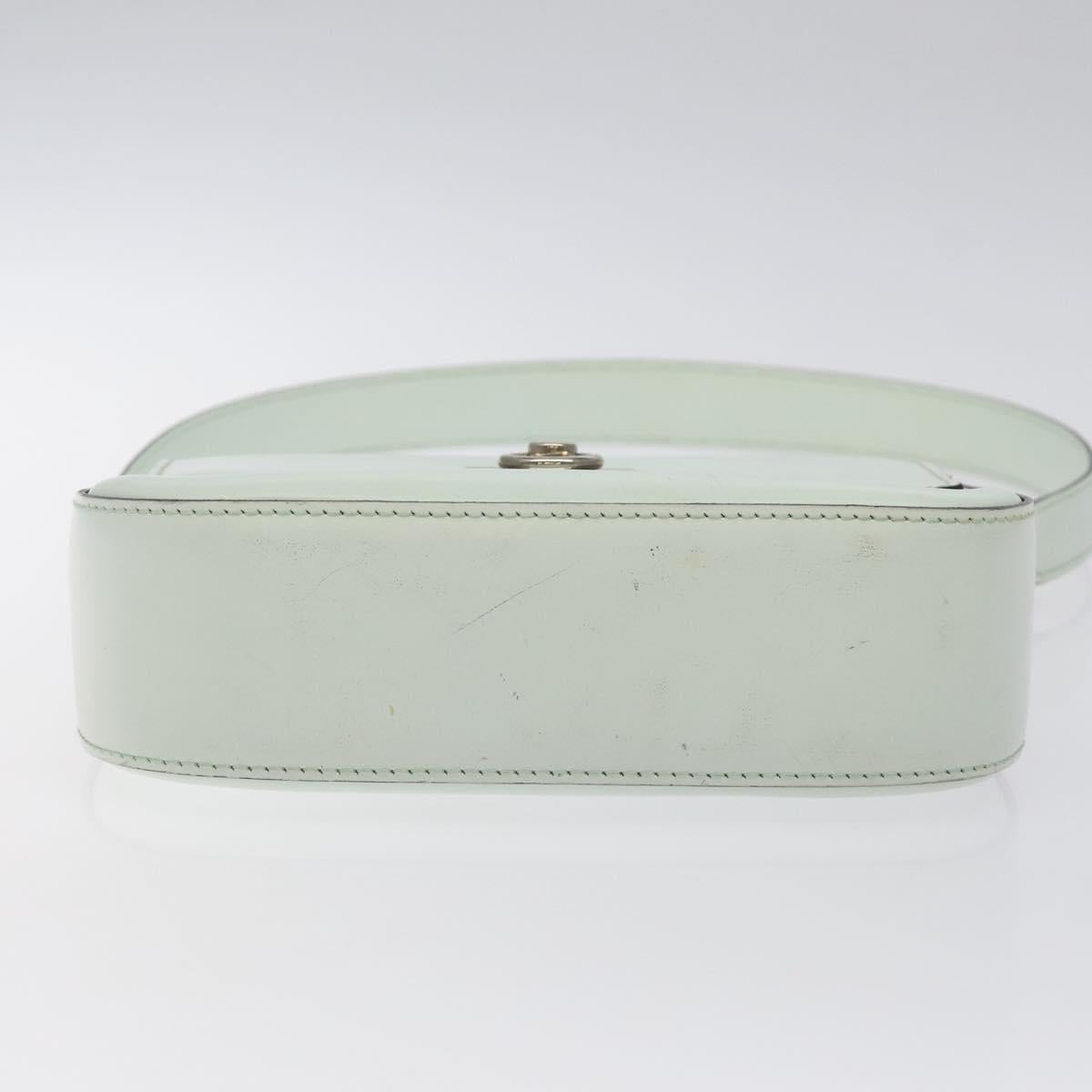 CELINE Shoulder Bag Leather Peppermint Silver Auth BA3419