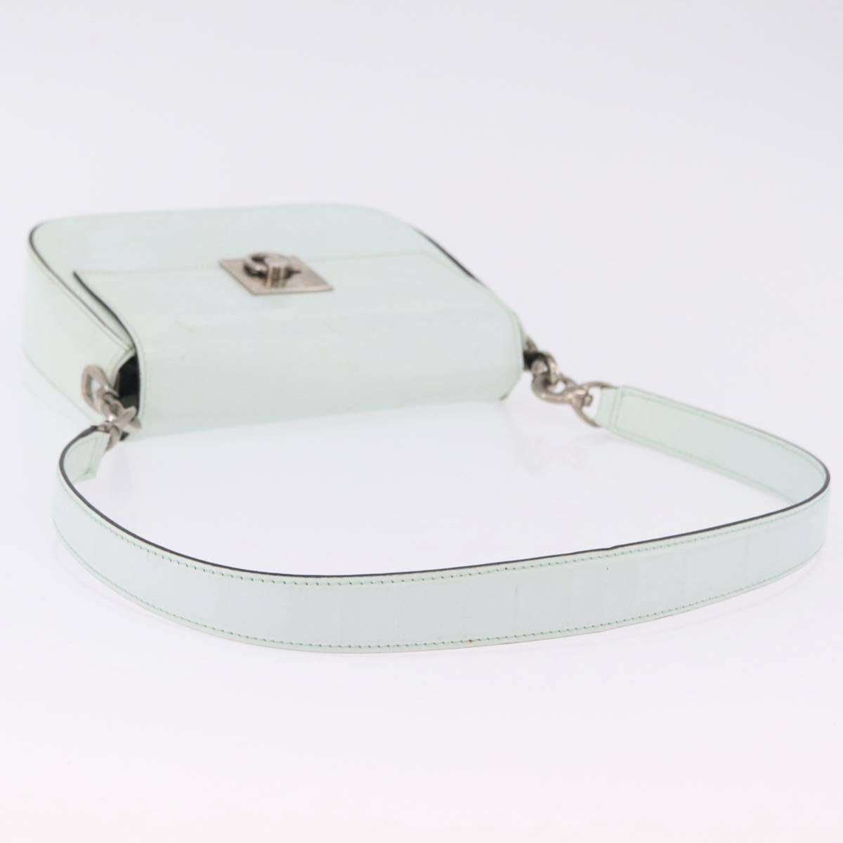 CELINE Shoulder Bag Leather Peppermint Silver Auth BA3419