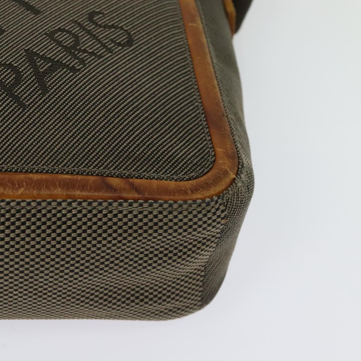 LOUIS VUITTON Damier Geant Citadan NM Bag Brown Tail M93224 LV Auth BA3796