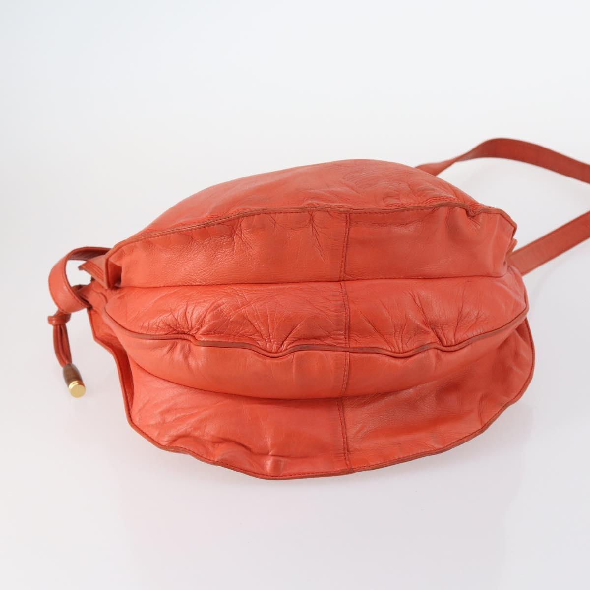 LOEWE Shoulder Bag Leather Orange Gold Auth BA6091