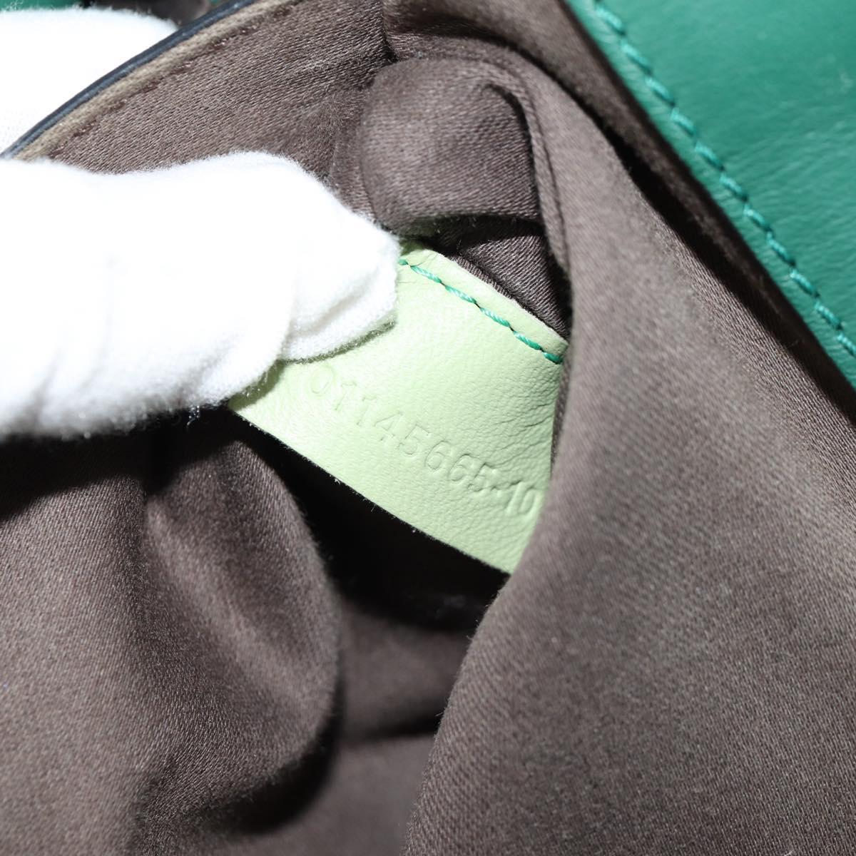 Chloe Bailey Hand Bag Leather 2way Green Auth BA6835