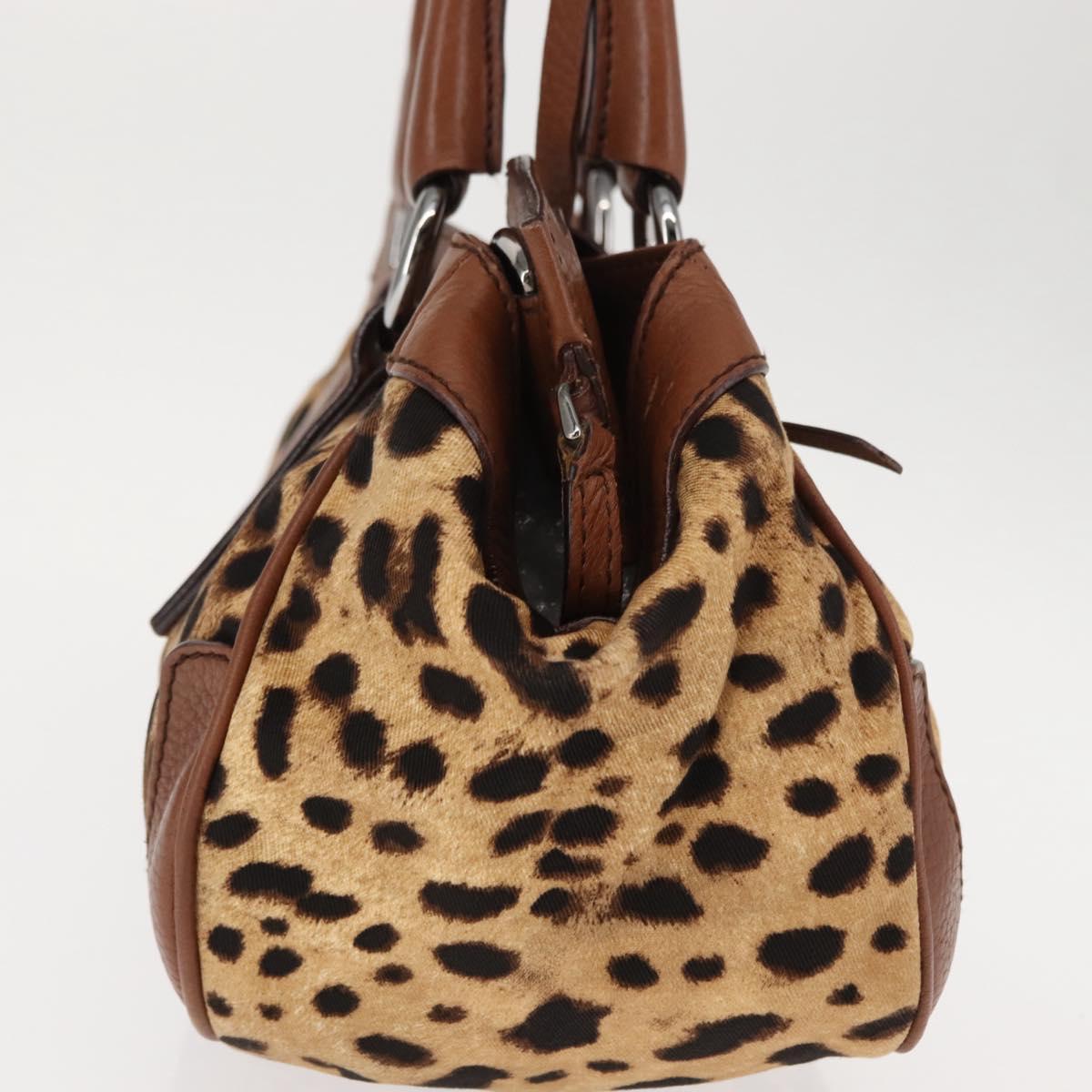 DOLCE&GABBANA Leopard Hand Bag Canvas Brown Auth BA6914