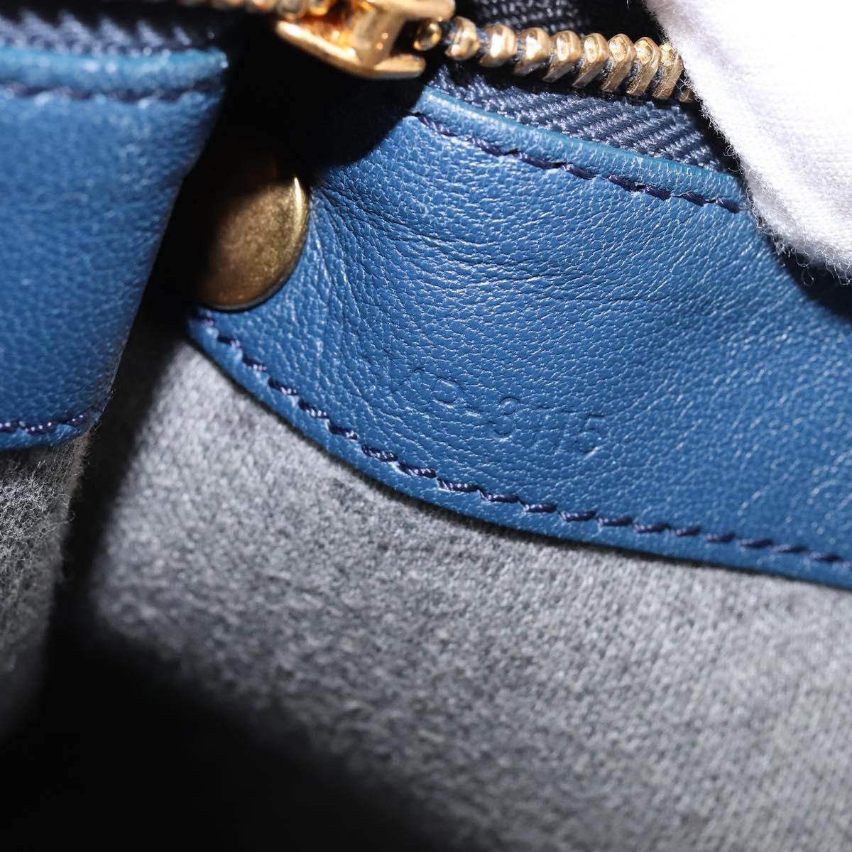 CELINE Trio large Shoulder Bag Leather Multicolor Gold Auth BA7047