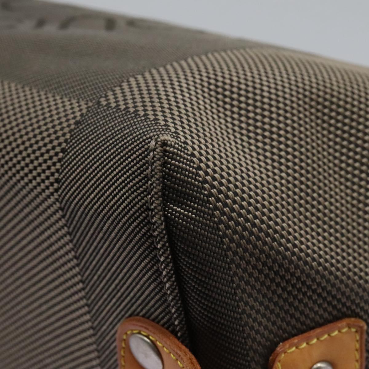 LOUIS VUITTON Damier Geant Shoulder Bag Tail LV Auth BA719