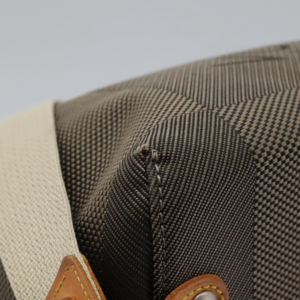 LOUIS VUITTON Damier Geant Shoulder Bag Tail LV Auth BA719