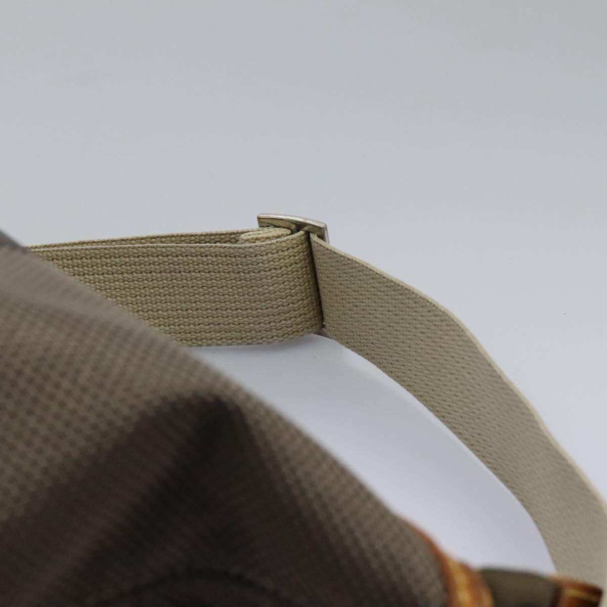 LOUIS VUITTON Damier Geant Shoulder Bag Tail LV Auth BA719