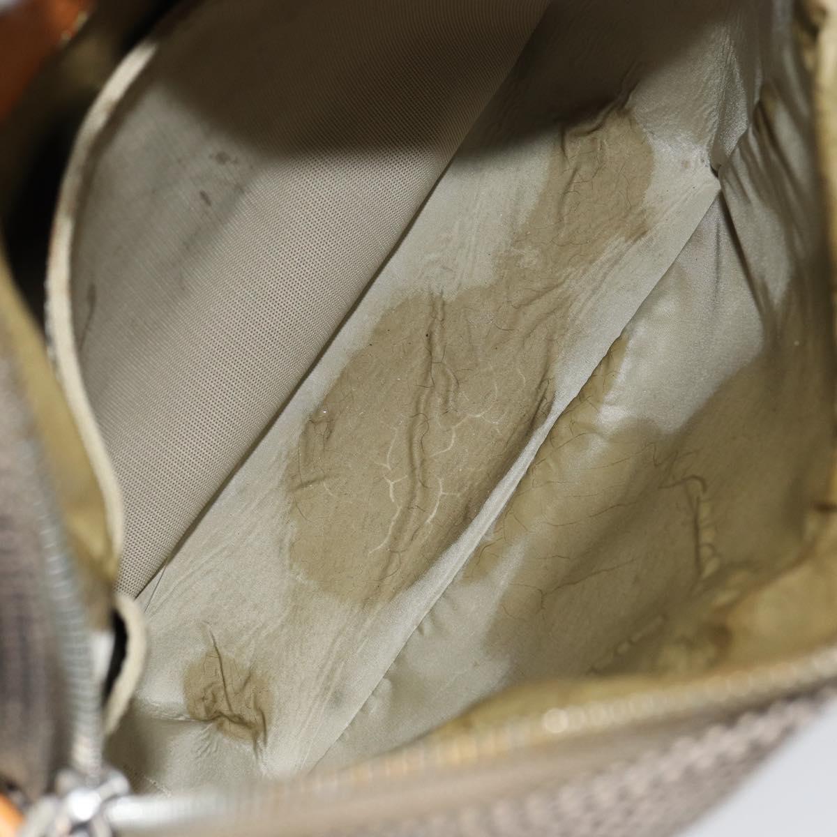 LOUIS VUITTON Damier Geant Sitadan NM Shoulder Bag Brown Tail M93224 Auth BA7929