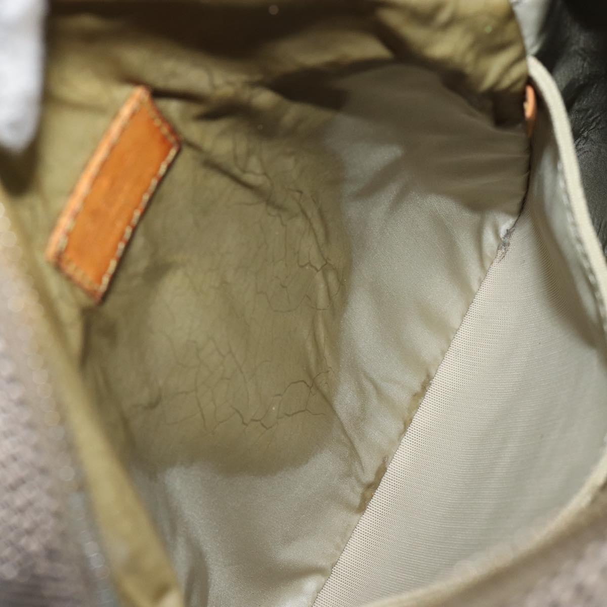 LOUIS VUITTON Damier Geant Sitadan NM Shoulder Bag Brown Tail M93224 Auth BA7929