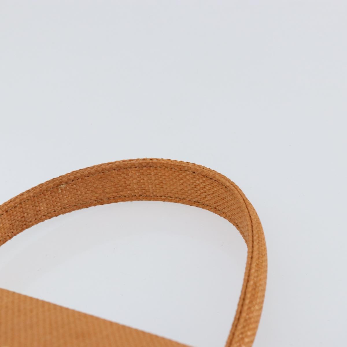 CELINE Hand Bag Raffia Brown Gold Auth BA8178