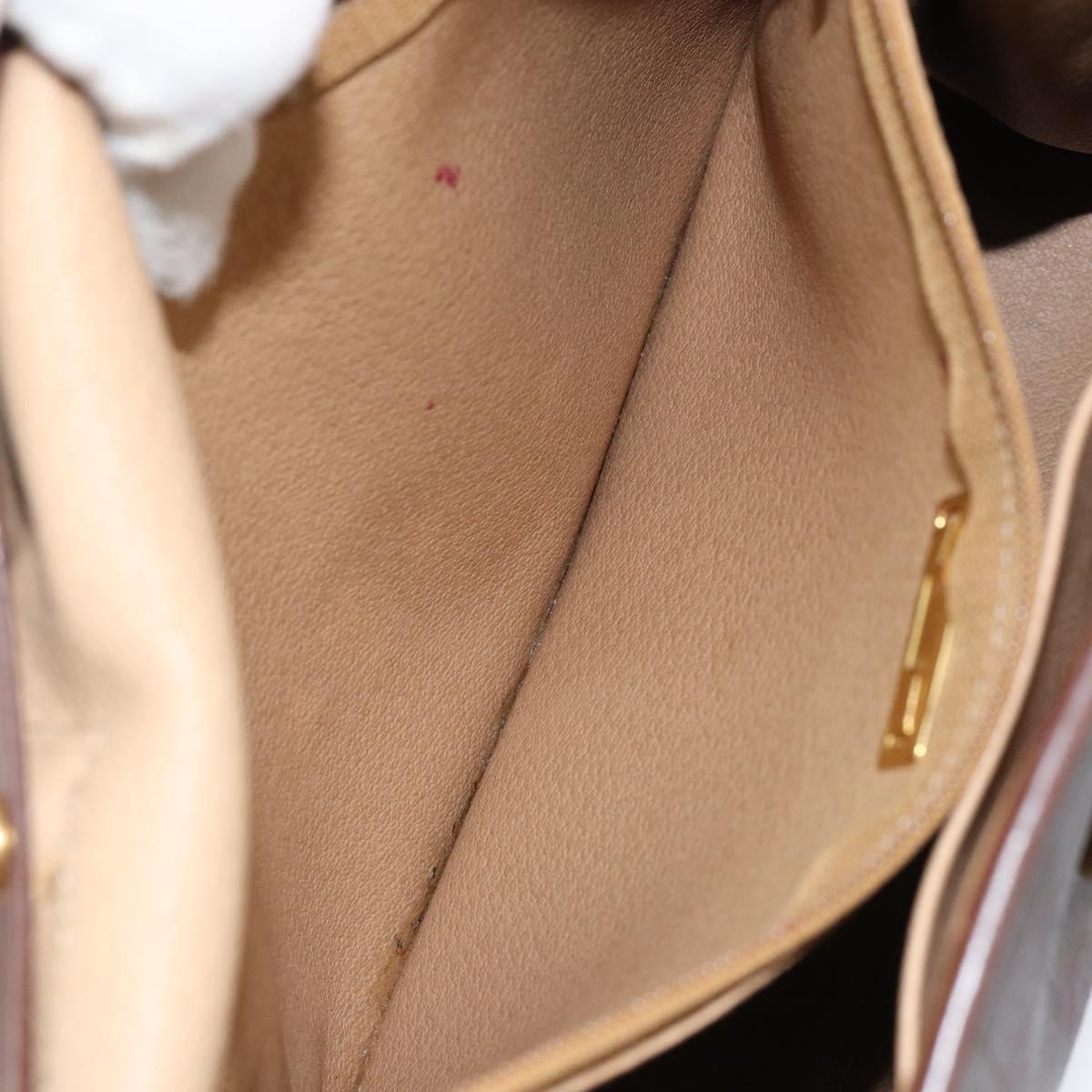 Christian Dior Trotter Canvas Hand Bag PVC Brown Gold Auth BA8206