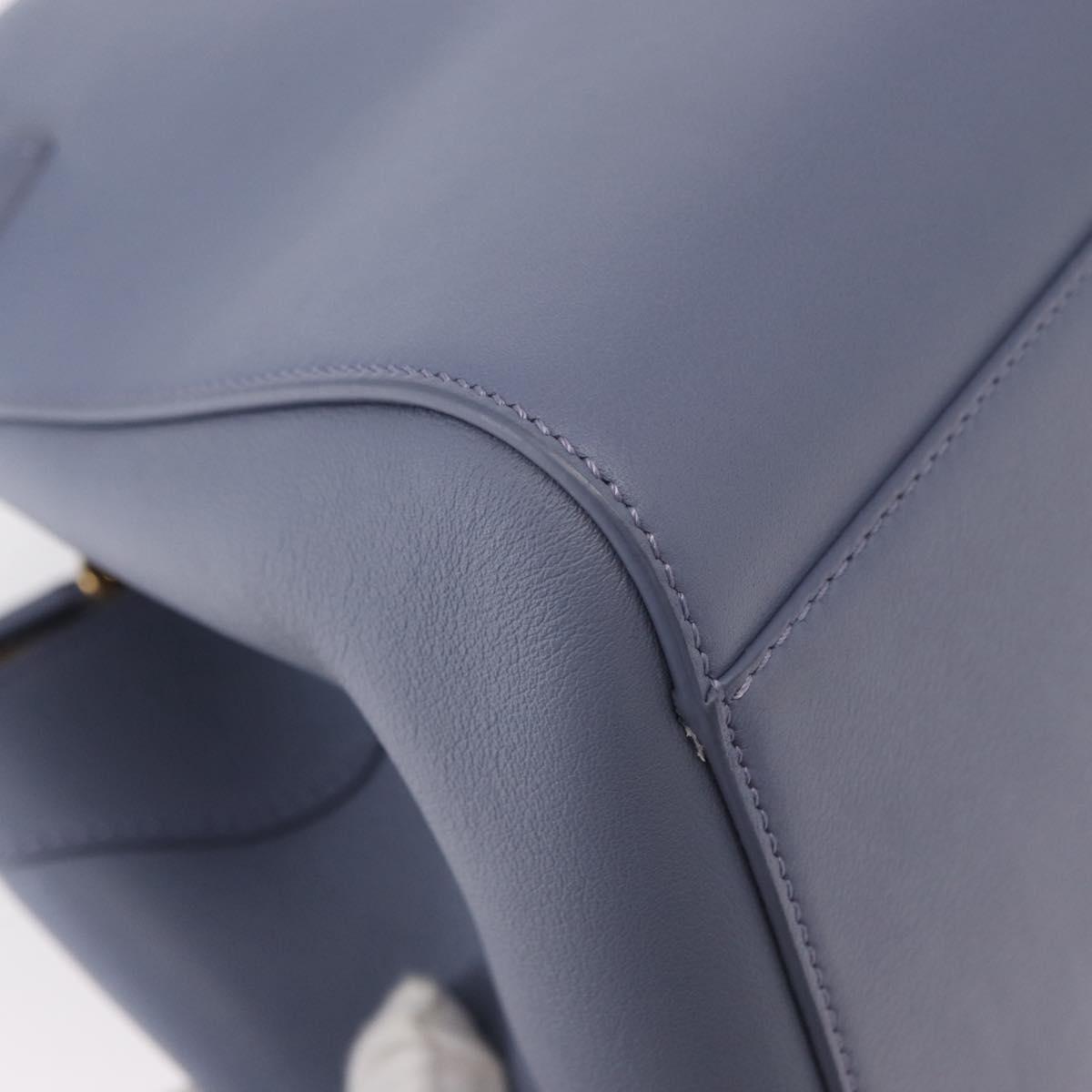 LOEWE Markl Hammock Nugget Loewe x Studio Ghibli 2way Blue Gold Auth BA9010SM