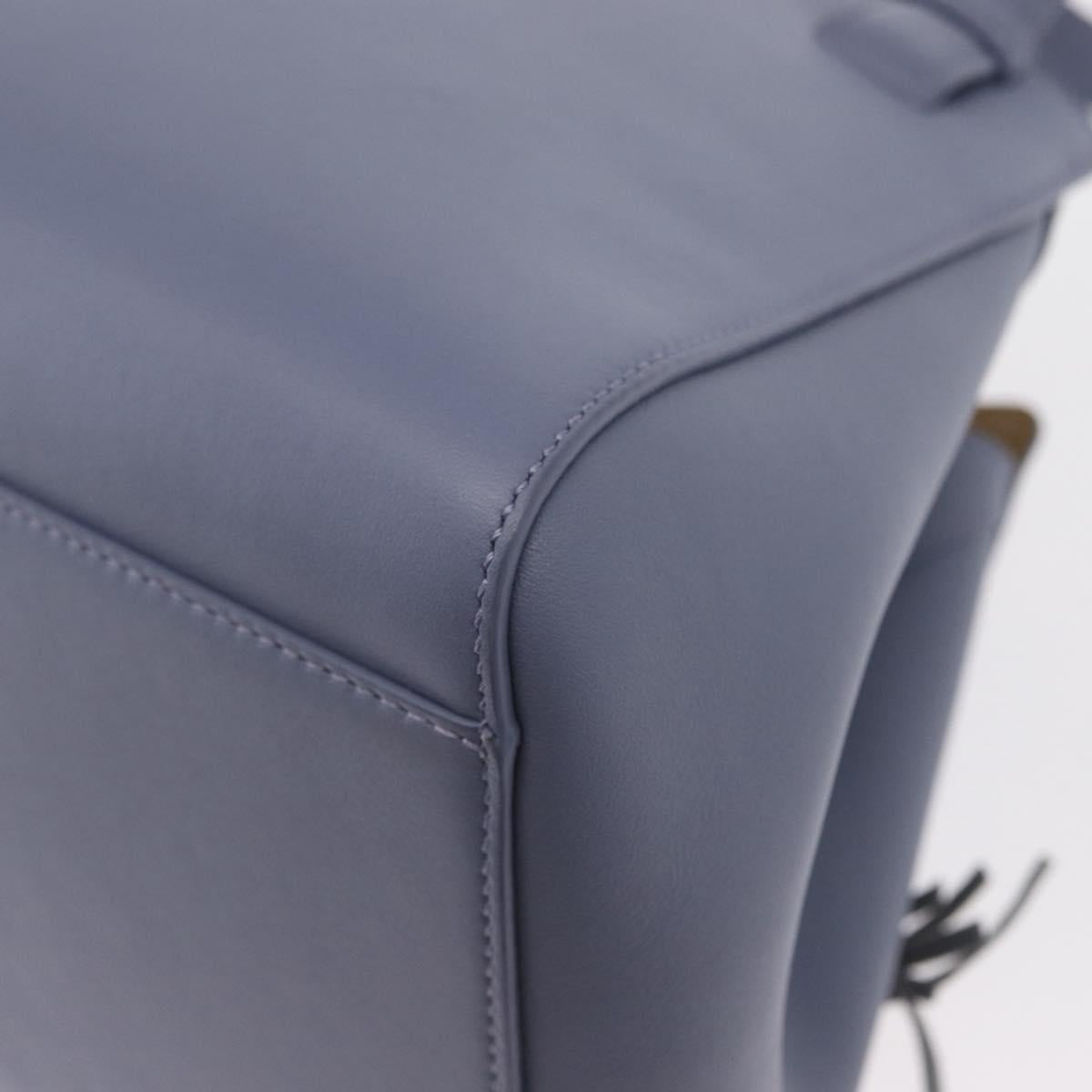 LOEWE Markl Hammock Nugget Loewe x Studio Ghibli 2way Blue Gold Auth BA9010SM