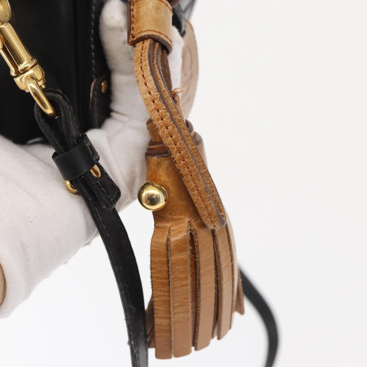 Chloe Eden Shoulder Bag Leather Black Gold Auth BA9482