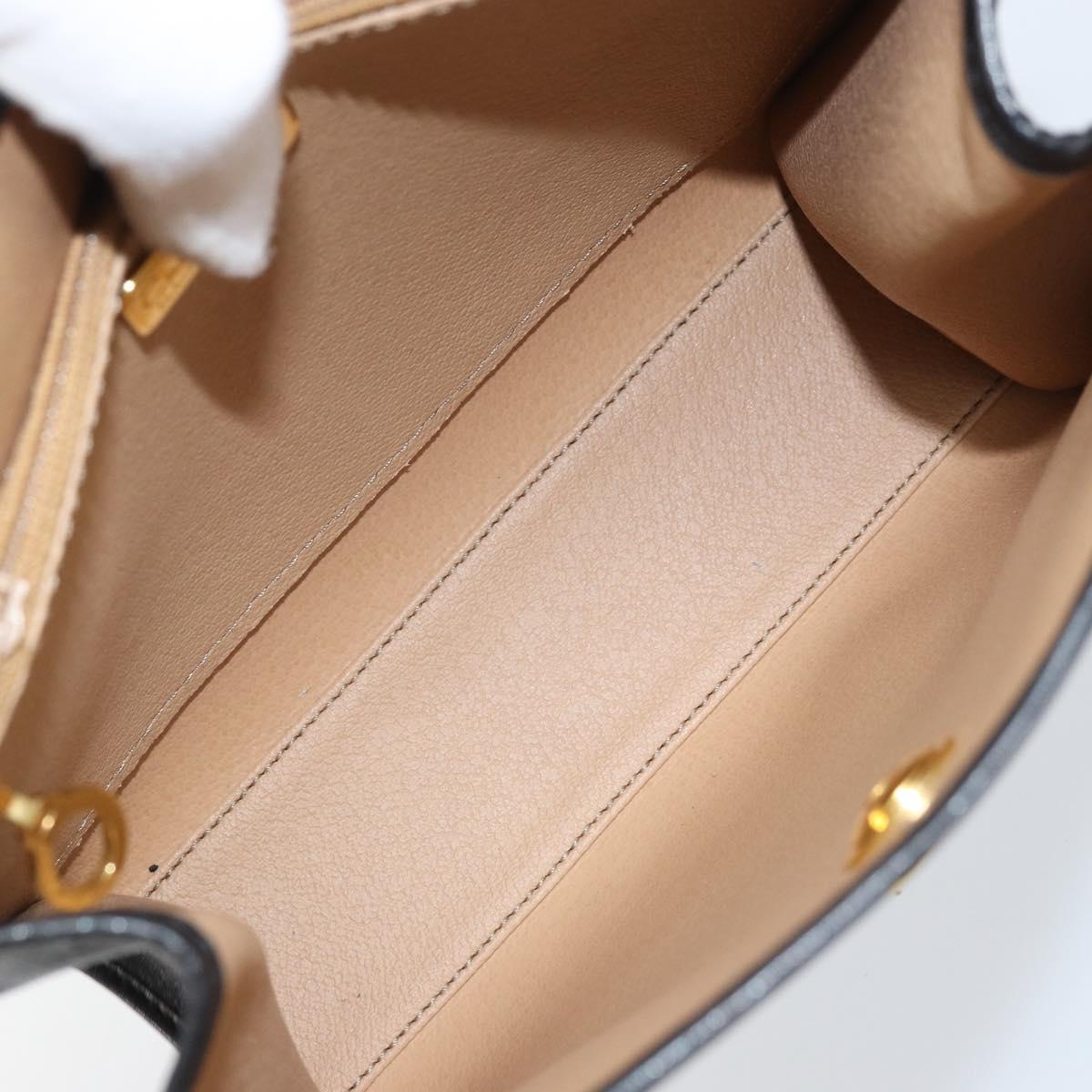 Christian Dior Trotter Canvas Shoulder Bag PVC Black Gold Auth BAZ068A