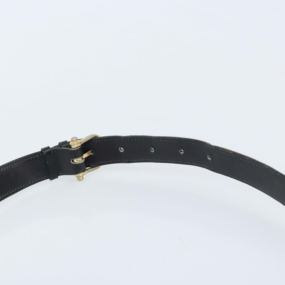 CELINE Horse Carriage Shoulder Bag Leather Black Gold Auth BAZ181