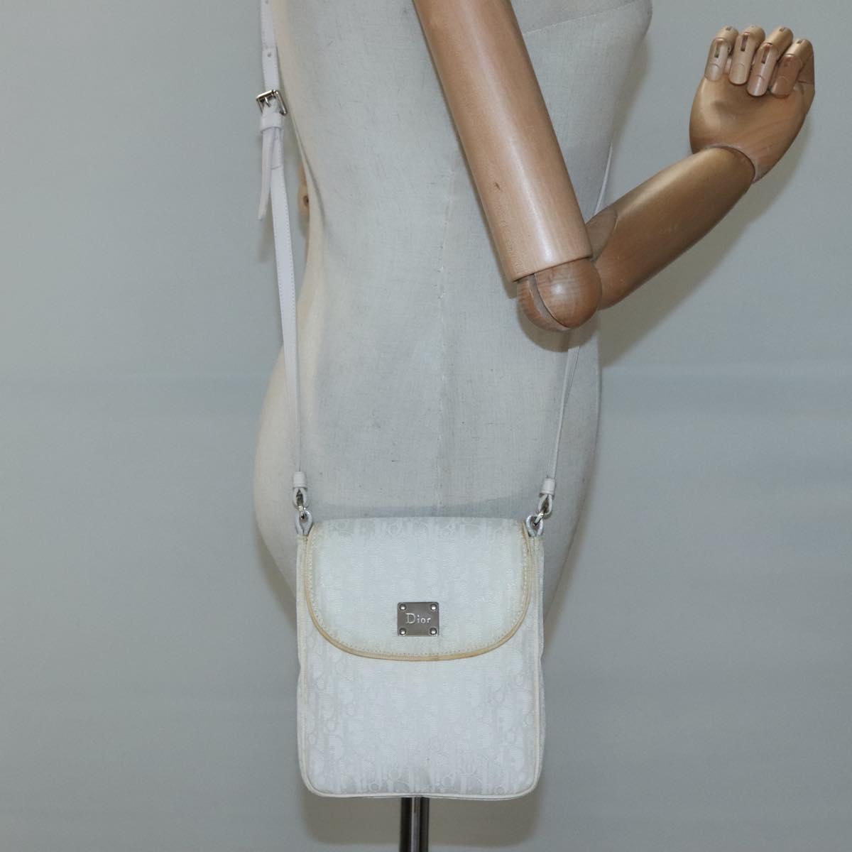 Christian Dior Trotter Canvas Shoulder Bag Nylon White Silver Auth BD1628