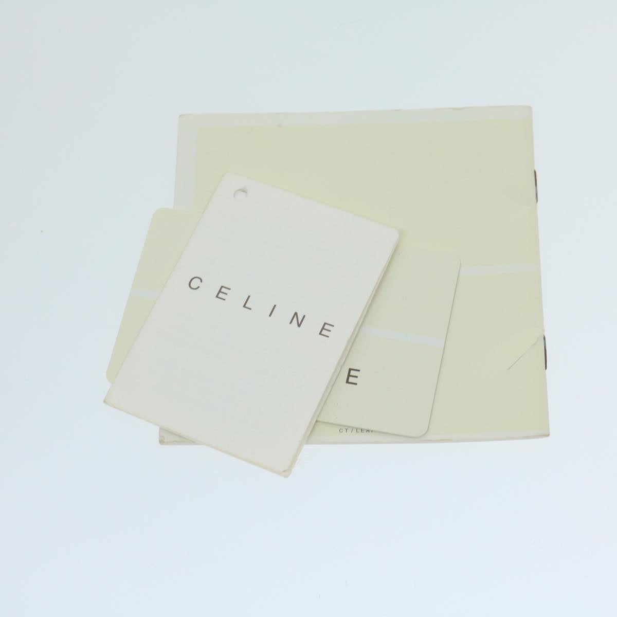 CELINE Hand Bag Suede Brown Auth bs11843