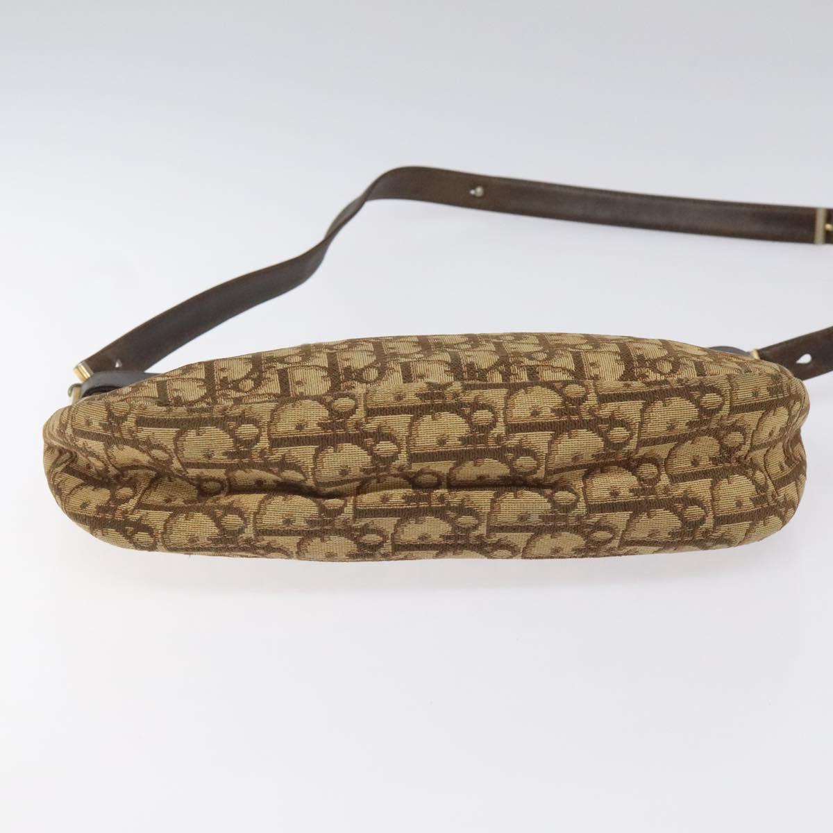 Christian Dior Trotter Canvas Shoulder Bag Brown Gold Auth bs22491