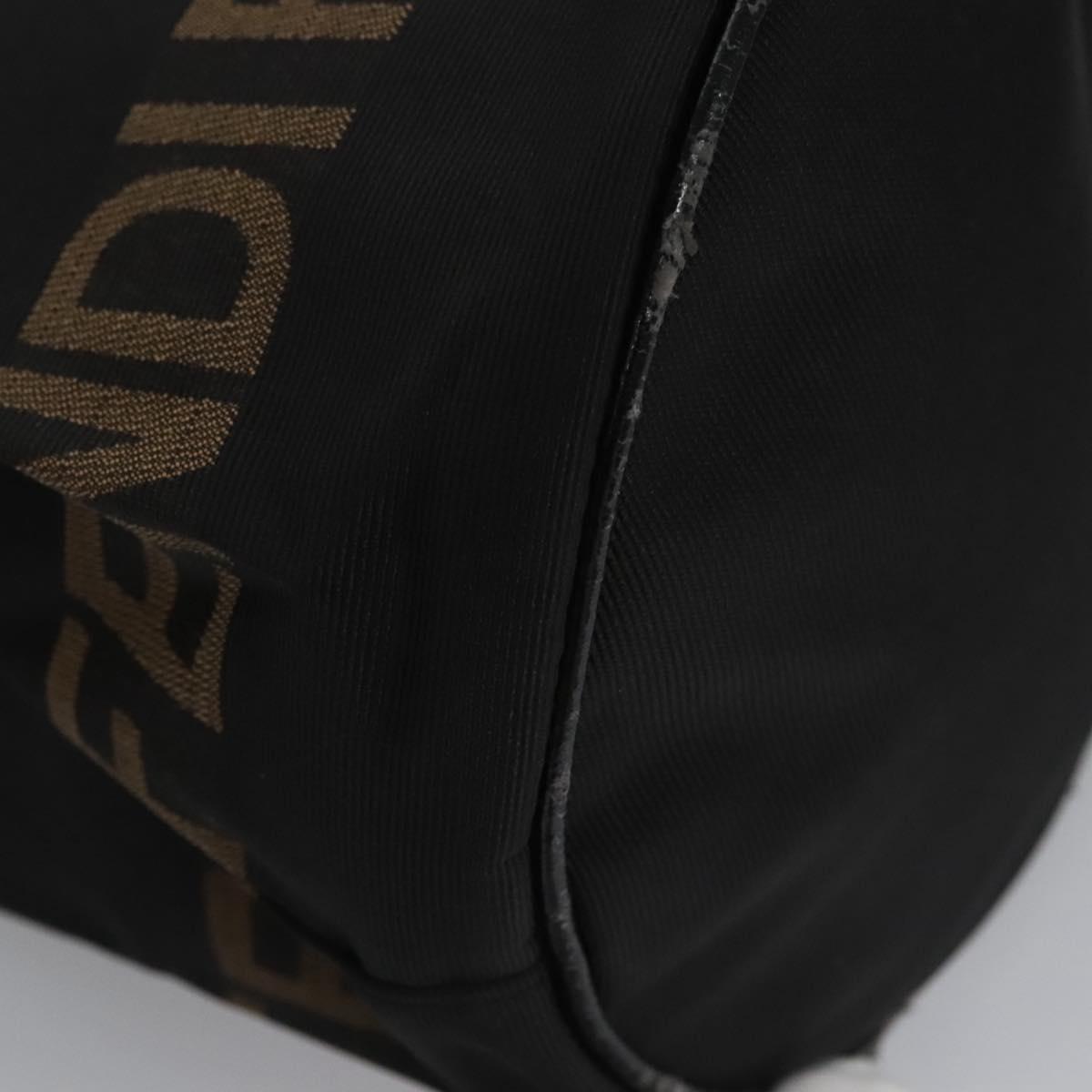 FENDI Hand Bag Nylon Brown Black Silver Auth bs22947
