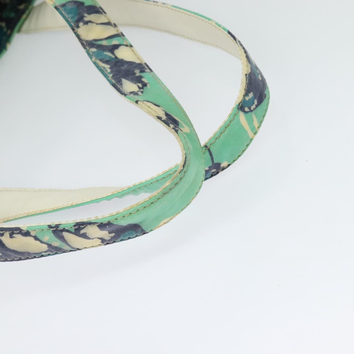 CHANEL Tote Bag Nylon Green Silver CC Auth bs24762