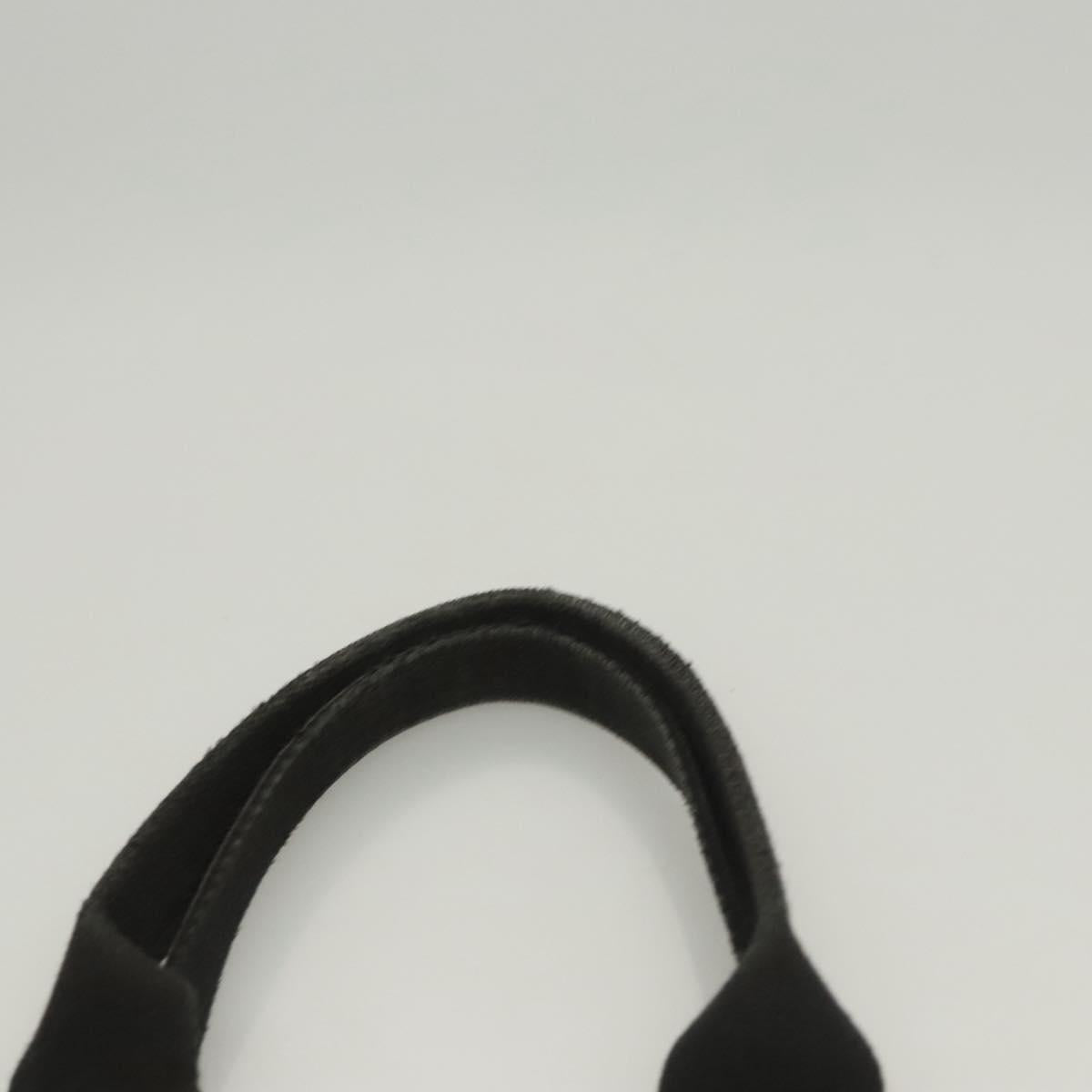 BURBERRY Nova Check Blue Label Hand Bag Canvas Nylon Black Beige Auth bs24936