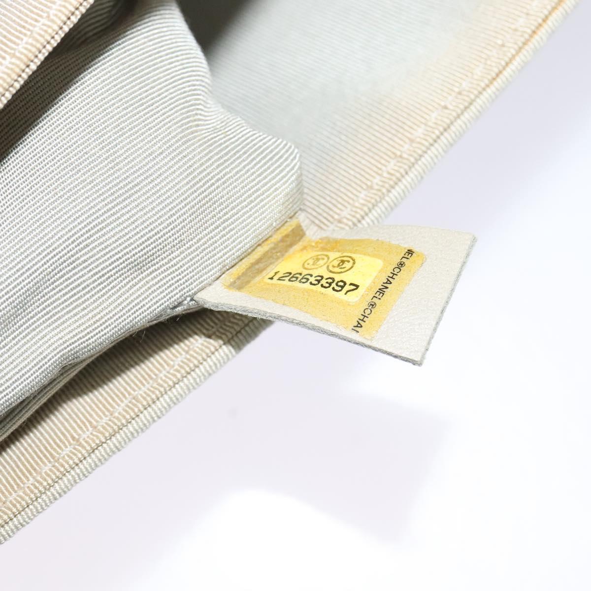 CHANEL Chain Shoulder Bag Nylon Gray CC Auth bs25857