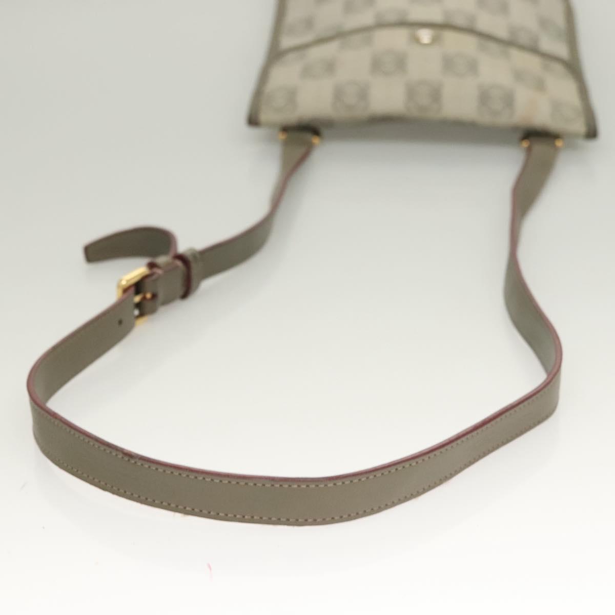 LOEWE Anagram Shoulder Bag PVC Gray Gold Auth bs26893