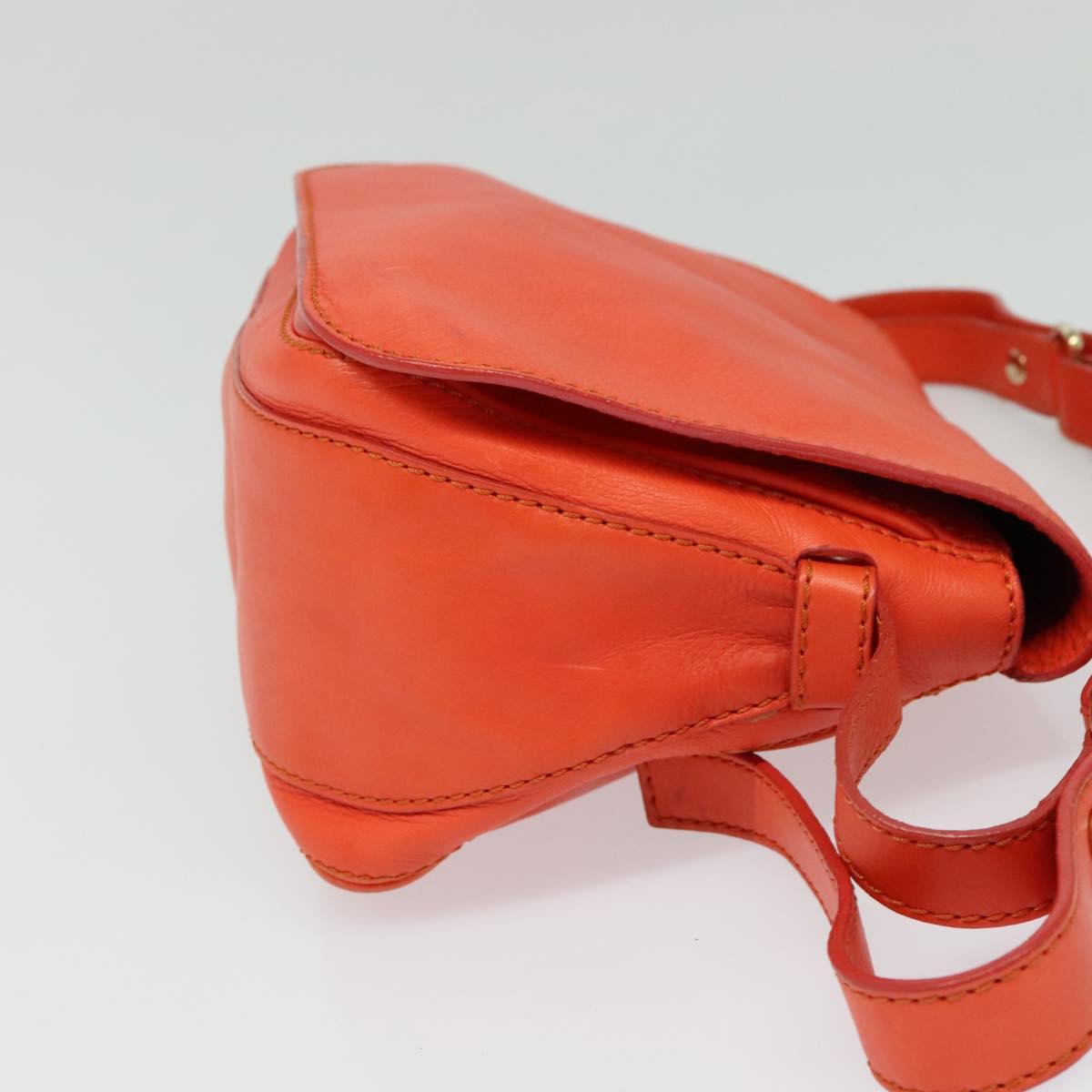 CELINE Shoulder Bag Leather Orange Gold Auth bs28303