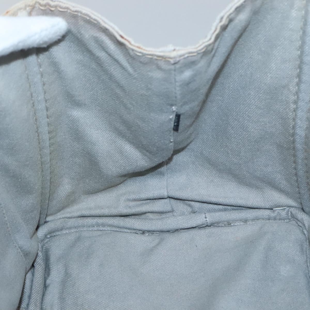 PRADA Canapa MM Hand Bag Canvas Gray Gold Auth bs28698