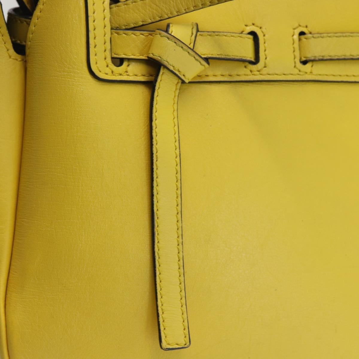 LOEWE Shoulder Bag Leather 2way Yellow Gold Auth bs29684