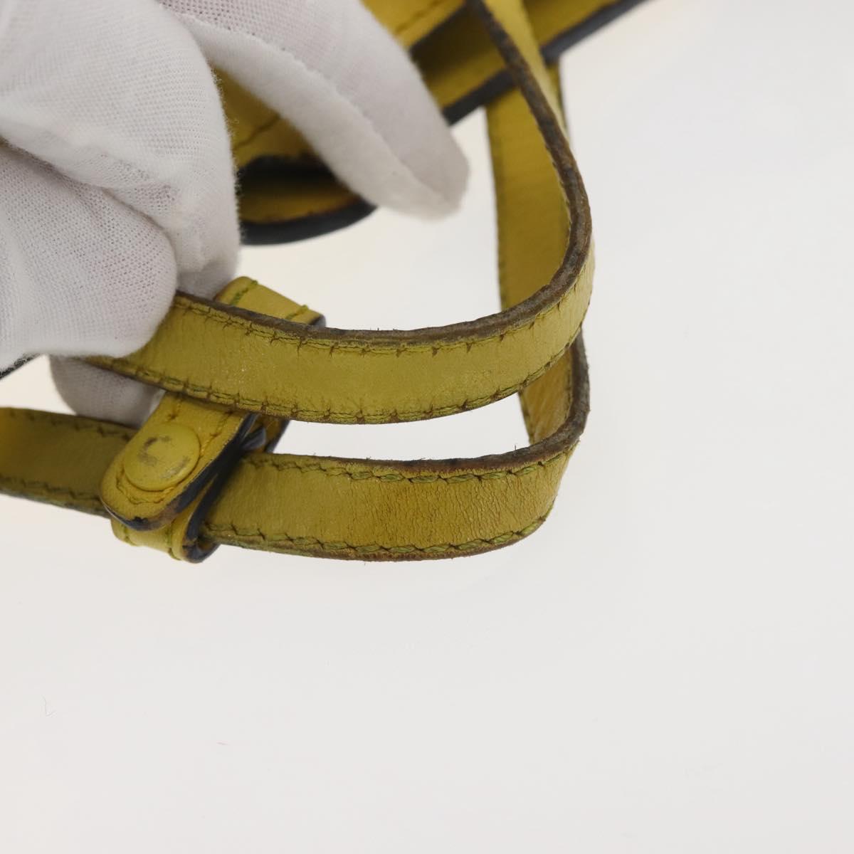 LOEWE Shoulder Bag Leather 2way Yellow Gold Auth bs29684