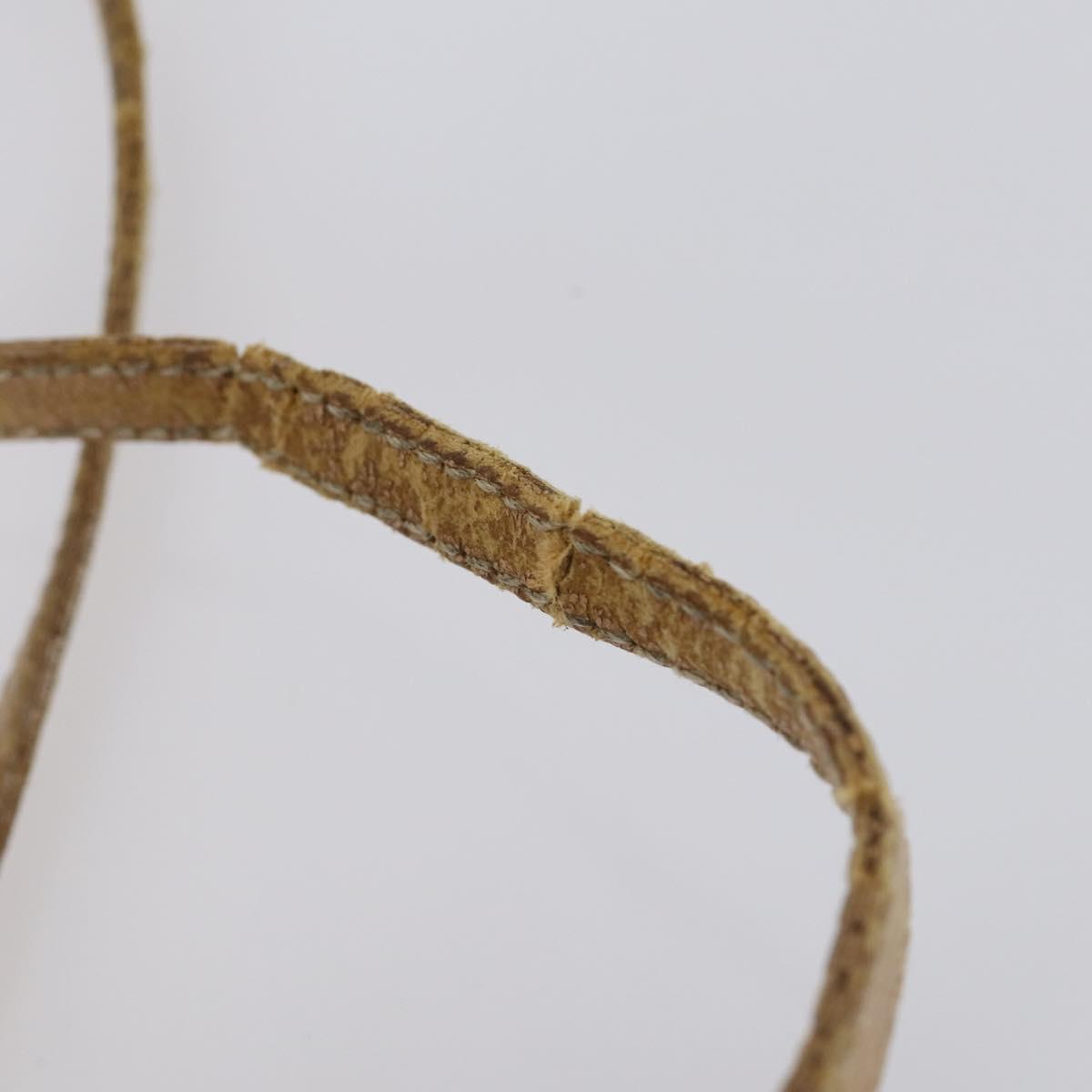 FENDI Zucchino Pecan Bag Canvas Coated Canvas 4Set Black Brown Auth bs29858