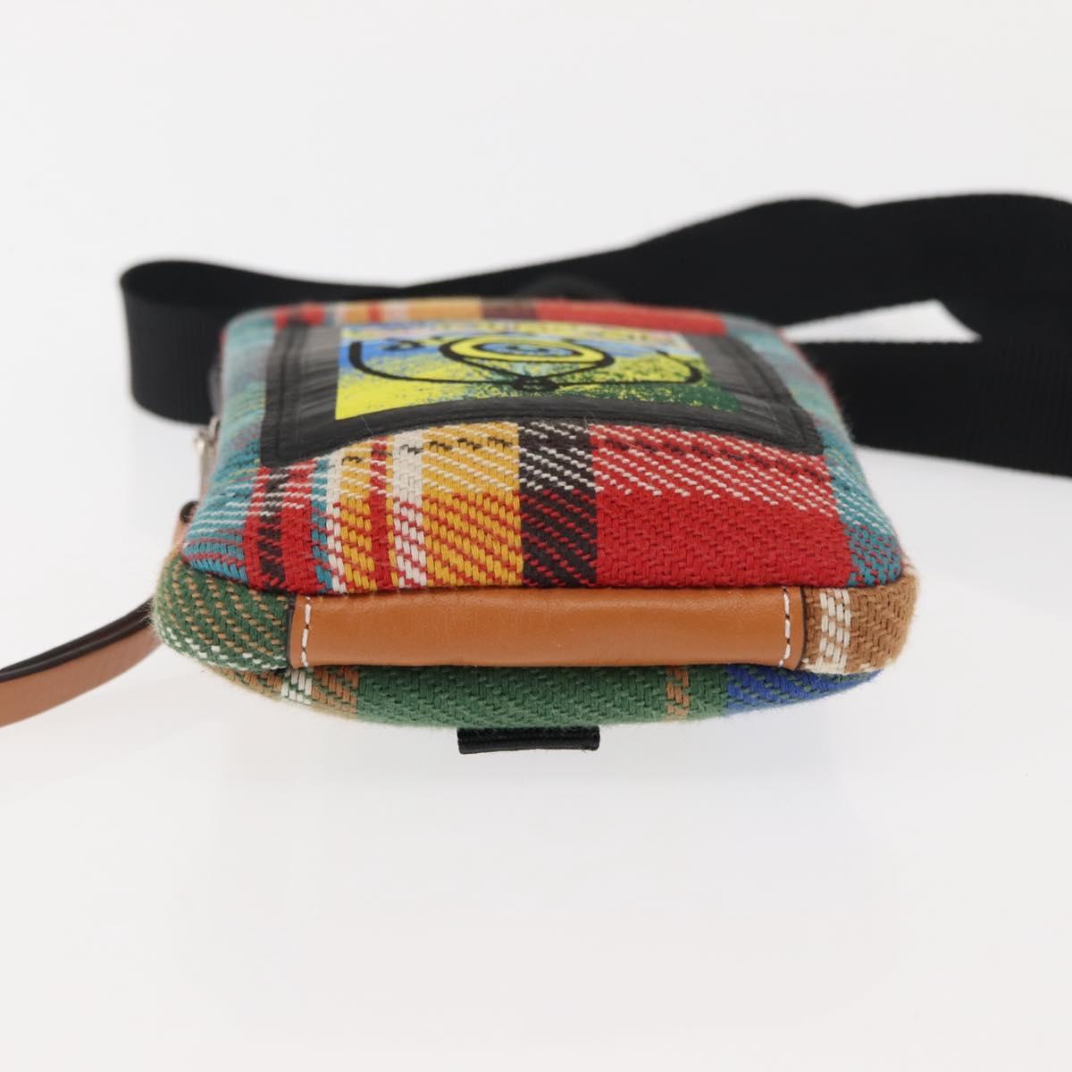 LOEWE Nature Shoulder Bag Canvas Multicolor Silver Auth bs30021