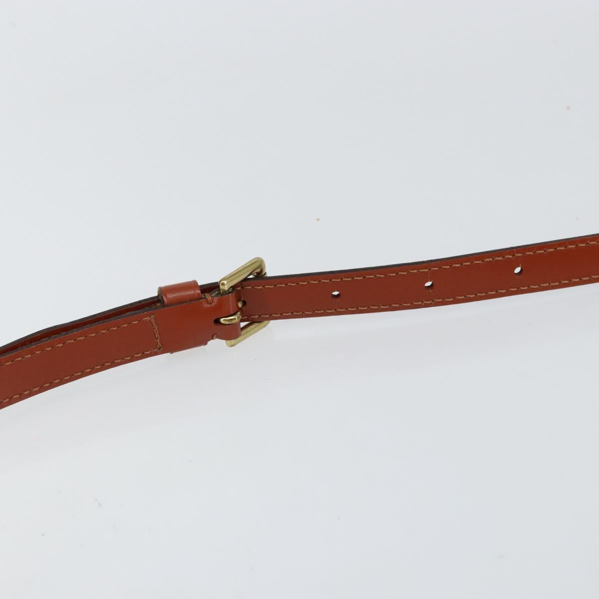 LOUIS VUITTON Epi Saint Cloud PM Shoulder Bag Brown M52213 LV Auth bs30702