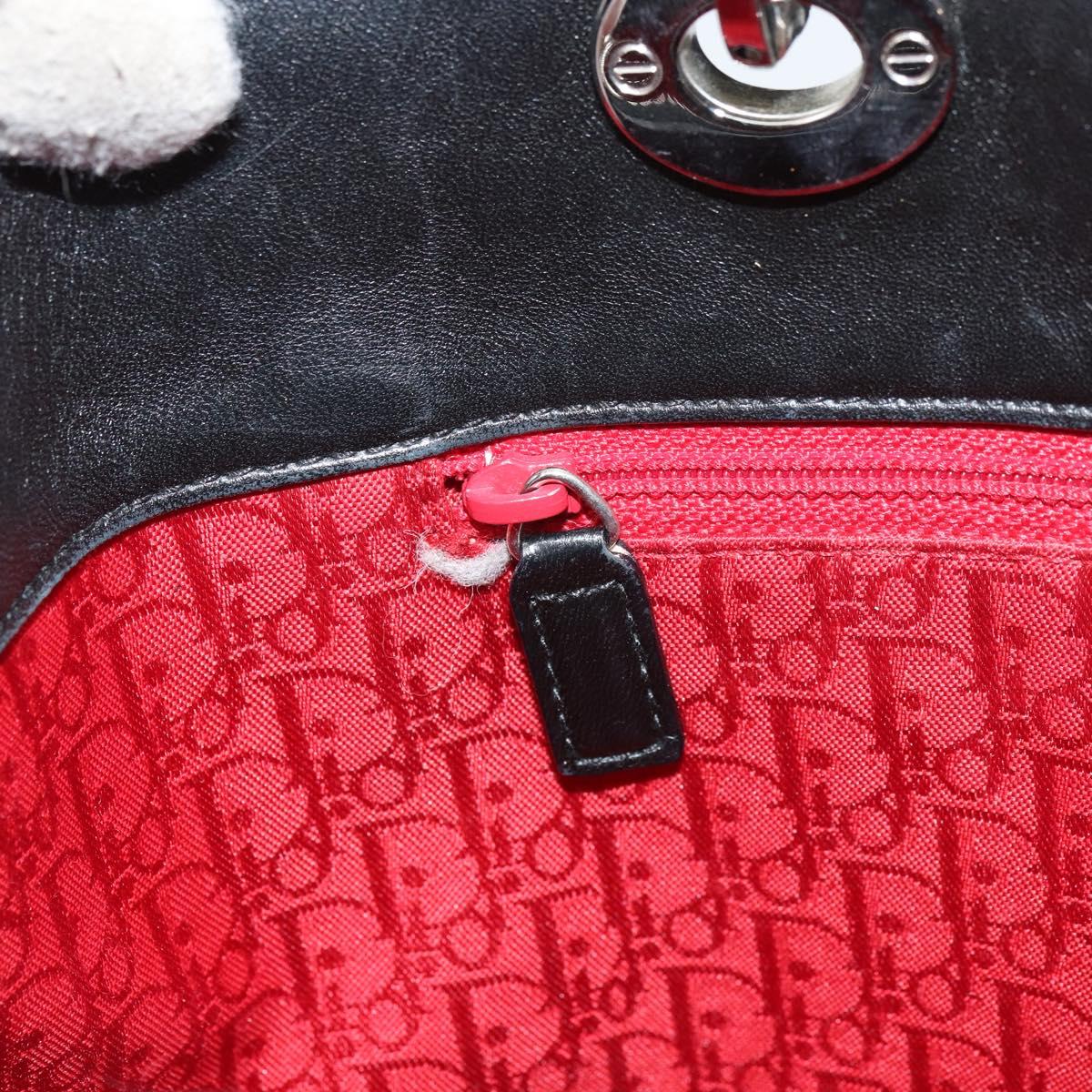 Christian Dior Canage Tote Bag Lamb Skin Black Silver Auth bs31373