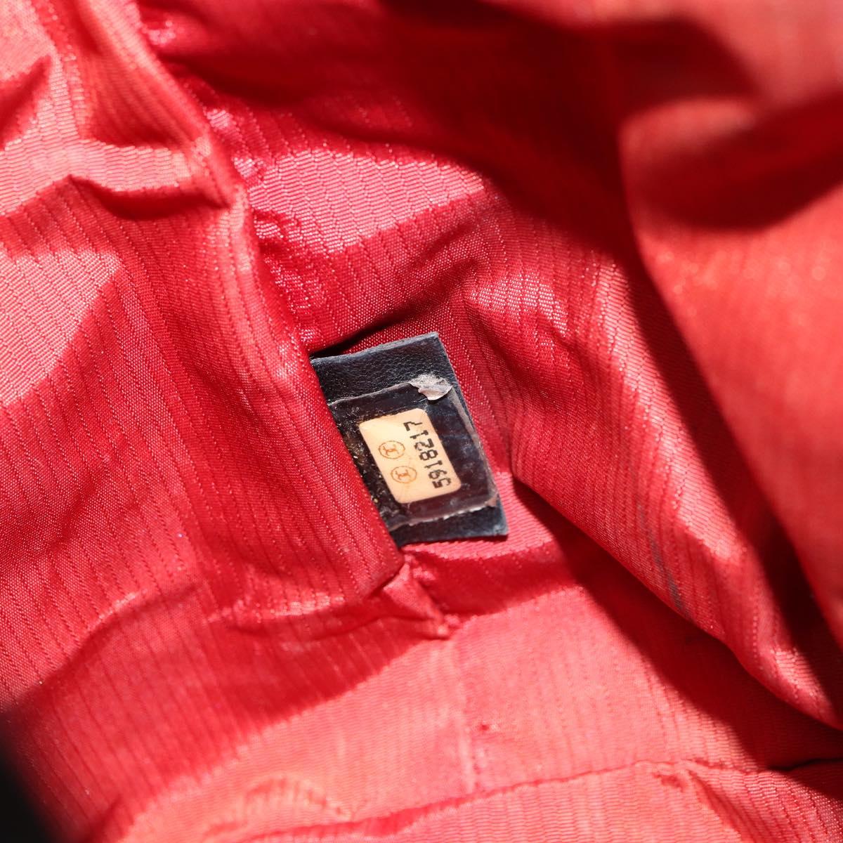 CHANEL Travel Line Purse Pouch Nylon Black CC Auth bs31438