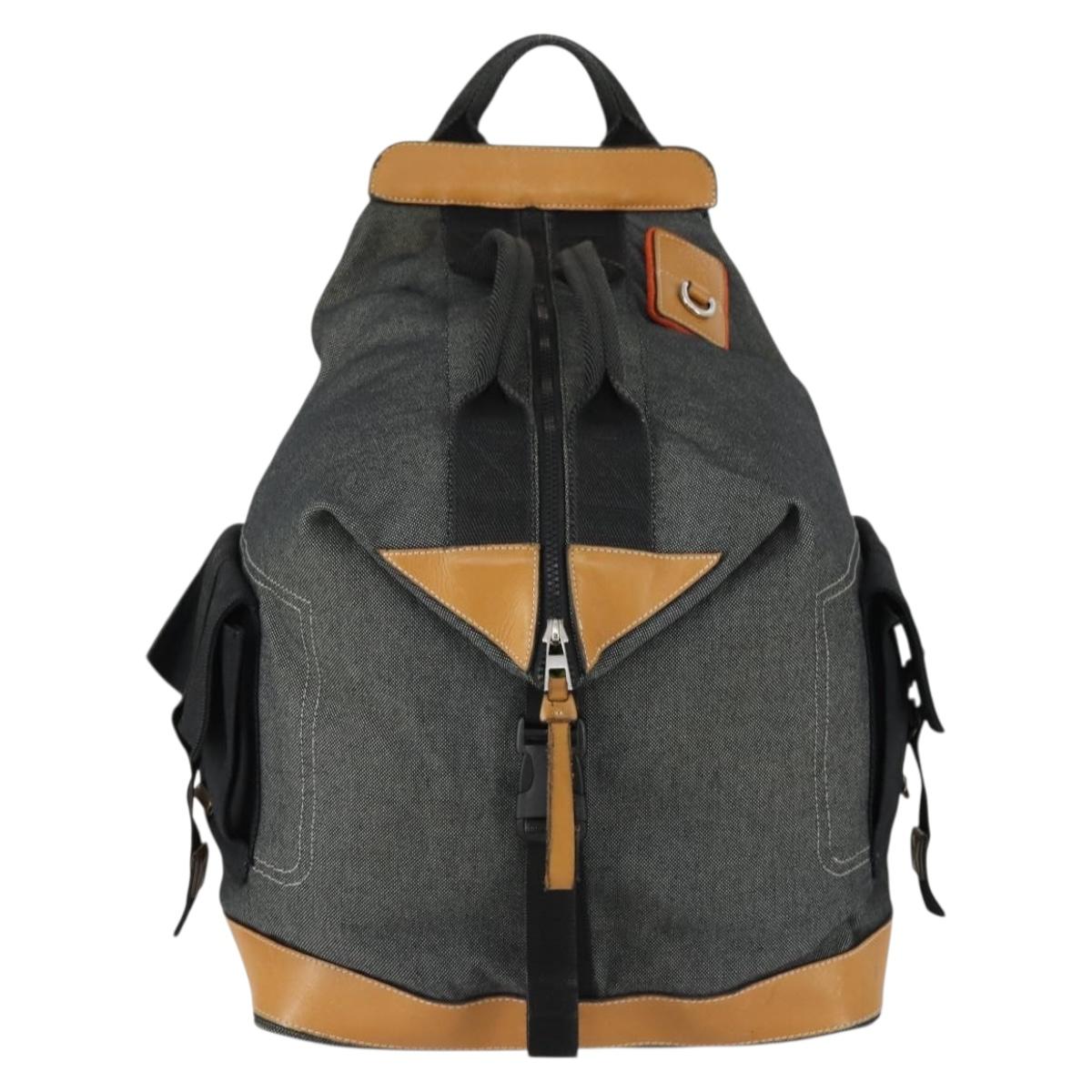 LOEWE Eye Nature Convertible Backpack Canvas Leather Gray Silver Auth bs31537