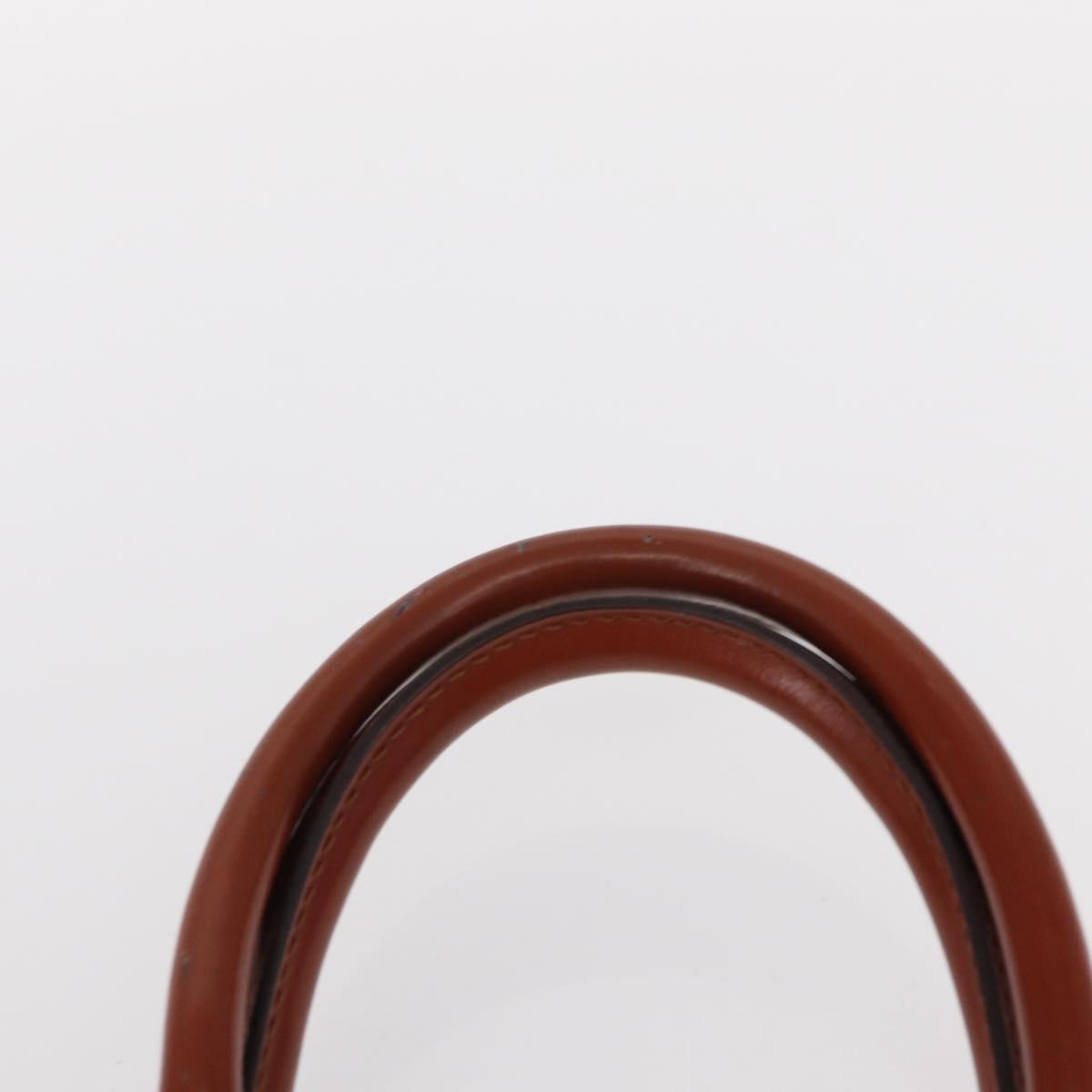 LOUIS VUITTON Epi Riviera Hand Bag Brown M48183 LV Auth bs31553