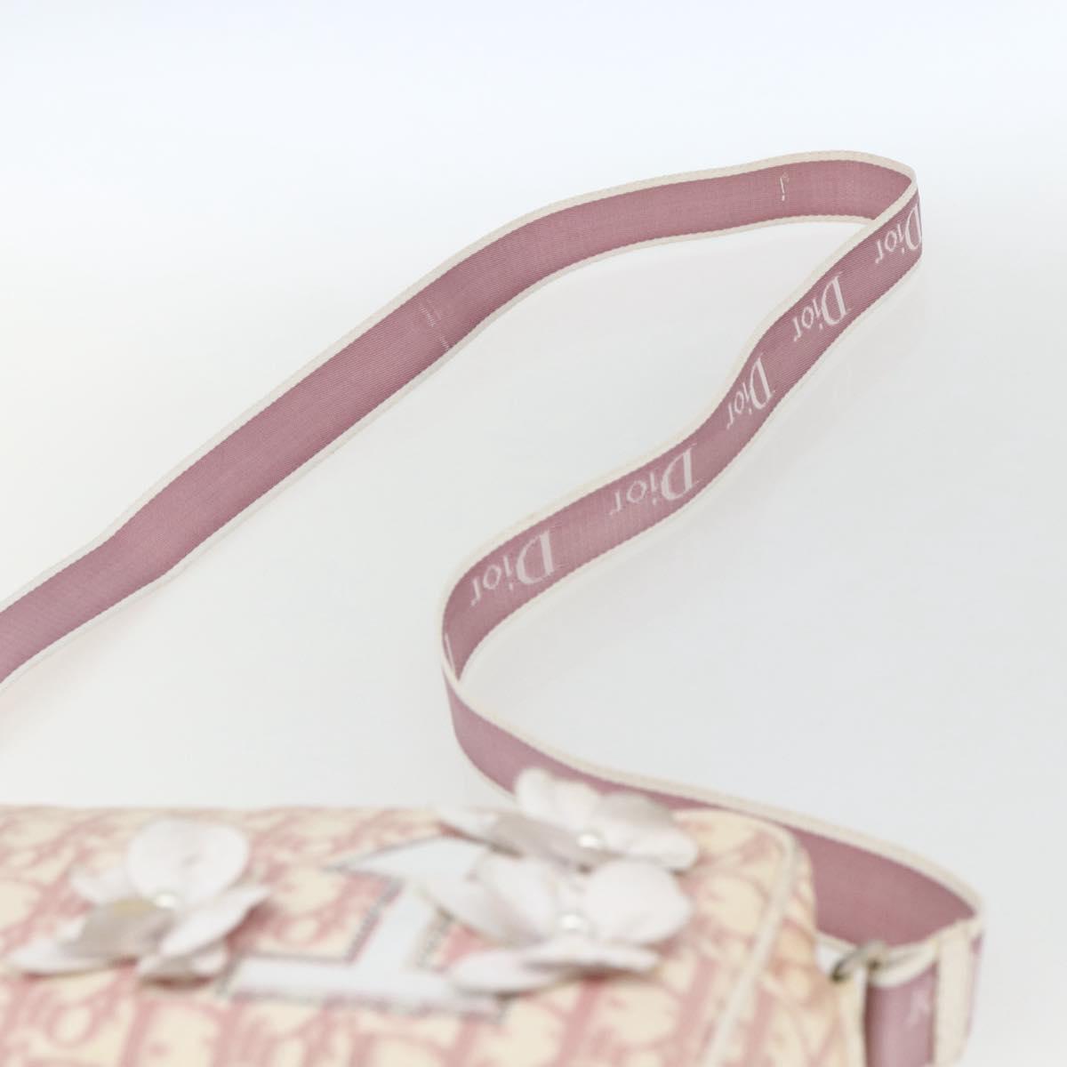 Christian Dior Trotter Canvas Shoulder Bag Pink Silver Auth bs32338