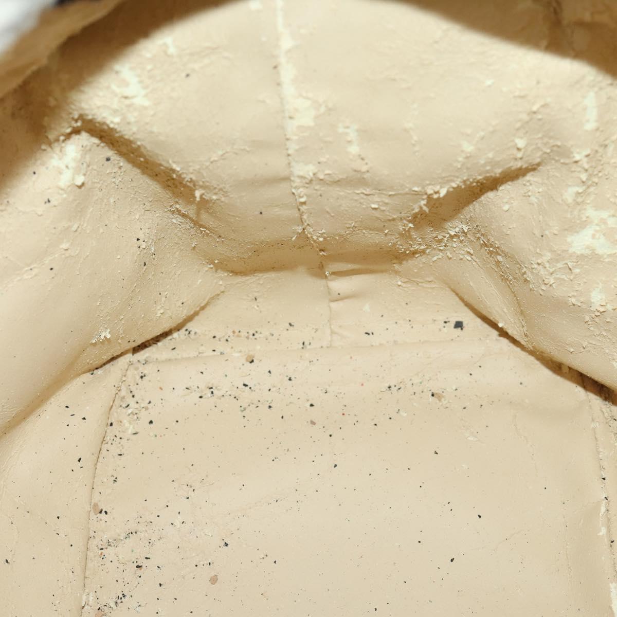 FENDI Zucca Canvas Hand Bag Brown Black Silver Auth bs33118