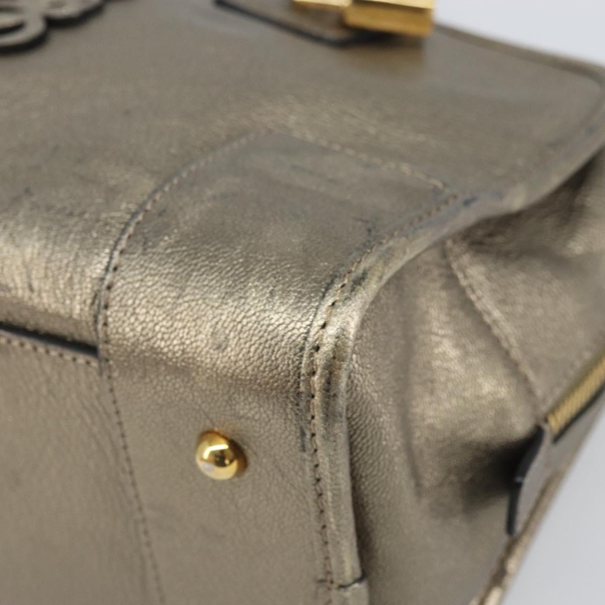 LOEWE Amazonas Hand Bag Leather Gold Tone Auth bs33234